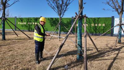 沪渝高速枝江道口公园年底亮相，构筑枝江生态宜居新地标
