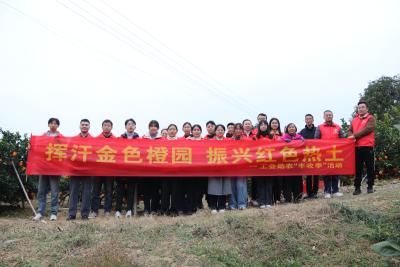 顾家店镇工会组织开展脐橙采摘帮扶活动