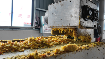 “吃干榨净”变废为宝 董市陈皮精深加工项目投产