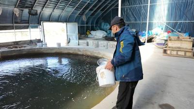 湖北枝江：鲟鱼特色养殖激活产业 游出乡村振兴新路子