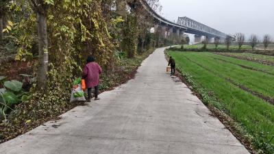顾家店镇青龙山村：清障清杂扮靓主干道 干干净净迎新年