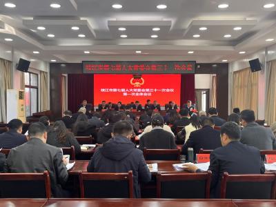 枝江市七届人大常委会第三十一次会议举行