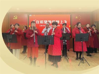 “新四缘”连心 “五社联动”聚力——枝江白鸭寺社区从“生人困境”走向“新熟人社会”