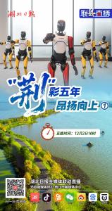 联“县”直播预告丨“荆”彩五年，昂扬向上①走进枝江金湖