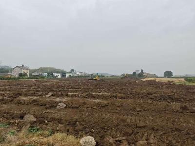 安福寺镇横溪河村高标准农田整治项目有序推进