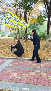 ​遛狗不栓绳，以前是违规，明年起违法！2026年1月1日起，新的治安管理处罚法落地，遛狗不栓绳最高拘10天，罚款1000元。