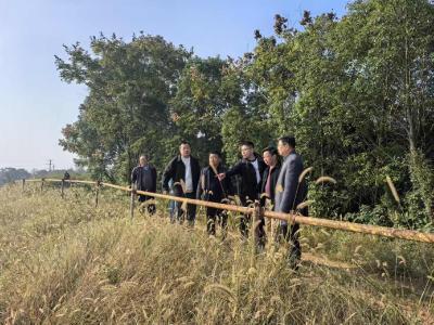 靠前服务抓征收 精准对接解企忧