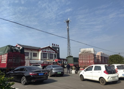 【学习强国】湖北枝江：干群齐心搭平台 脐橙变身“致富果”