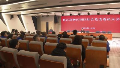 枝江高新区园区综合党委正式成立