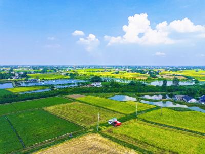 枝江入选省级农村综合改革试点试验名单