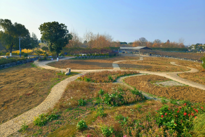 焕新升级！同心花海景区花境升级改造工程正式启动
