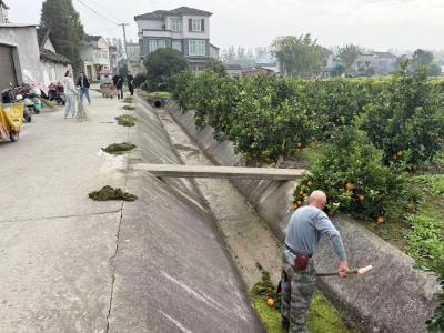 董市镇：响应号召齐行动 干干净净迎双节