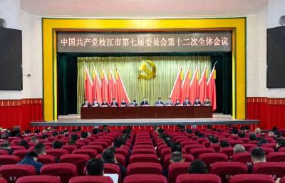 中共枝江市委七届十二次全体会议举行