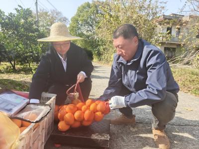 市科协赴清水溪村开展帮扶活动