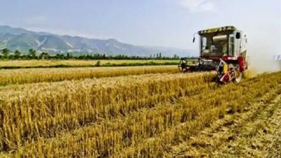 “四农普”来了，将对农业新质生产力等进行调查