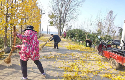 百里洲镇：全民共治扮靓家园 干干净净喜迎双节
