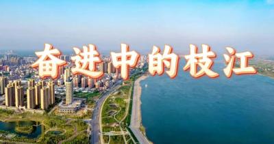 【荆楚网】枝江这里即将“大上新”！