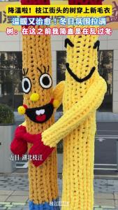 降温啦！枝江街头的树穿上新毛衣，温暖又治愈！树：在这之前我简直在乱过冬