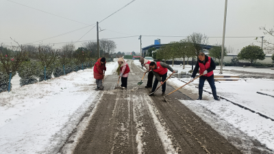 安福寺镇紫荆岭村：村组干部志愿者扫雪除冰保畅通
