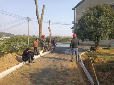 顾家店镇蔡家溪村：“砼心”铺就致富路 党群同心暖民心