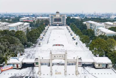 枝江人在朋友圈玩雪玩嗨了！