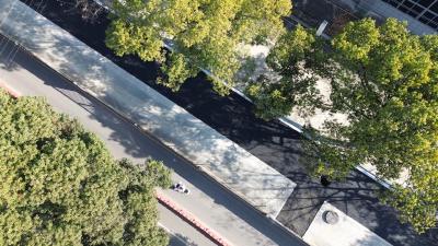 枝江城区地下排水管网改造项目加速推进