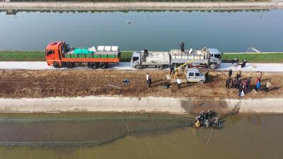 冬捕丰收鱼满舱 产业兴旺促振兴