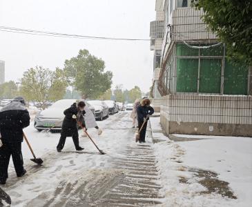 雪落无声，志愿有光 ——问安青年扫雪铲冰在一线