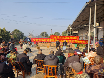 安福寺镇：送技下乡暖橘农 清园防病保丰收