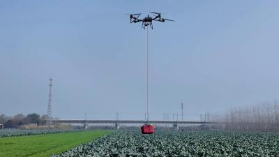 【学习强国】湖北枝江：无人机空运蔬菜 智慧农业跑出加速度