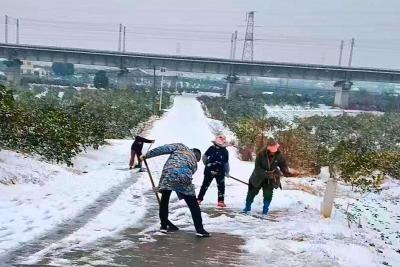 董市镇：以雪为令 除冰保畅暖民心
