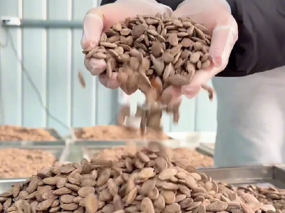 董市镇：“董滋味”瓜蒌子正式上市，解锁健康零食新体验