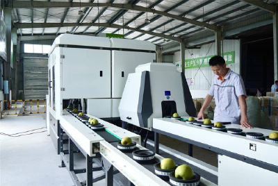 枝江多点发力稳就业促创业