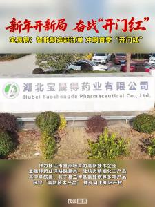 新年开新局 奋战“开门红”| #枝江 宝晟得药业智造升级，赋能企业2026年“开门红！”