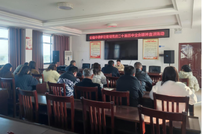 安福寺镇：青年宣讲“接地气” 全会精神“入人心”