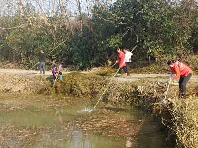 顾家店镇：党群齐心清堰塘 美丽乡村展新颜