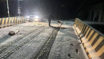 风雪中的坚守：顾家店镇罗家河村干部群众齐心护平安