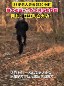
83岁老人走失超20小时，警犬追踪6个多小时成功找回，网友：汪汪队立大功！