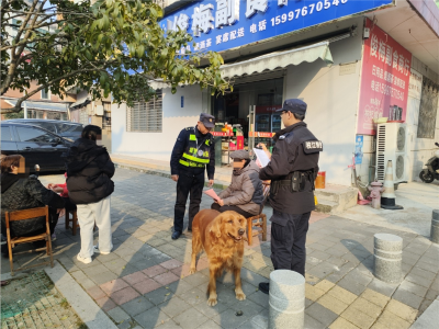 文明养犬齐参与 和谐枝江共守护