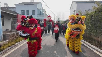 湖北枝江：杀猪宴遇西兰花 农旅融合迎新春