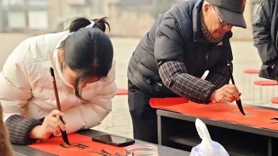 杨家庵村：书法名家送春联 翰墨飘香暖民心
