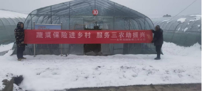 特色农保暖民心 快速理赔纾农困