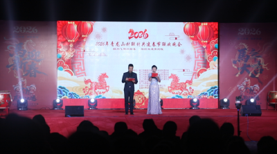 顾家店镇四村联办“村晚”贺新春 凝聚乡情颂美好