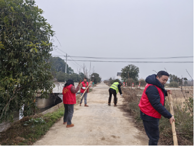安福寺镇罐头嘴村开展环境卫生整治行动