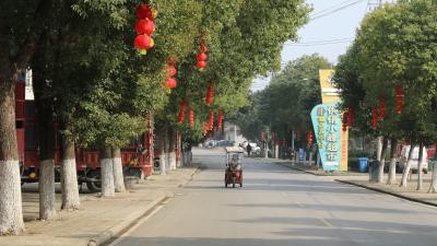 红灯笼扮靓问安镇 浓情暖意迎新春