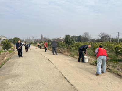 党群同心净环境 辞旧迎新展新风