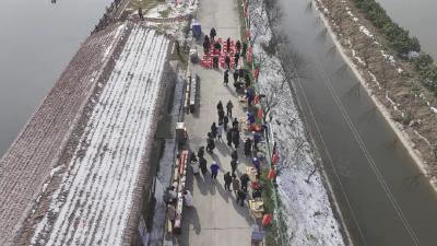 枝江老乡，快回来qi头菜！