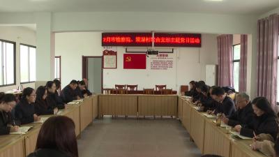 市检察院与问安镇双湖村开展联建共建支部主题党日活动