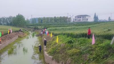 水清草绿迎马年 百里洲镇开展沟渠清理专项整治行动