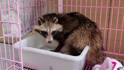 暖！它在枝江“捡回一条命”